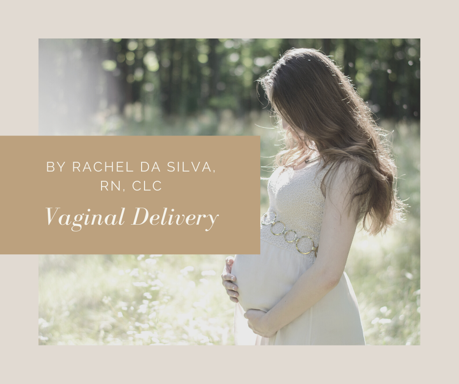 Labor And Vaginal Delivery What To Expect Mommy Did You Know 